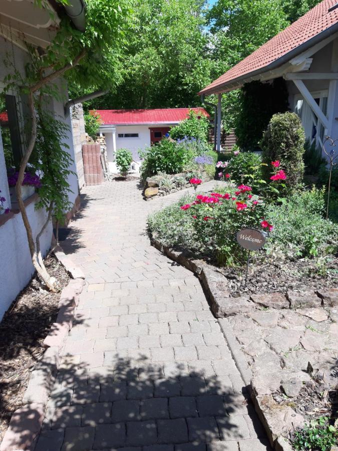 Ferienwohnung Im Schoenen Zellertal Wachenheim an der Weinstraße Zewnętrze zdjęcie